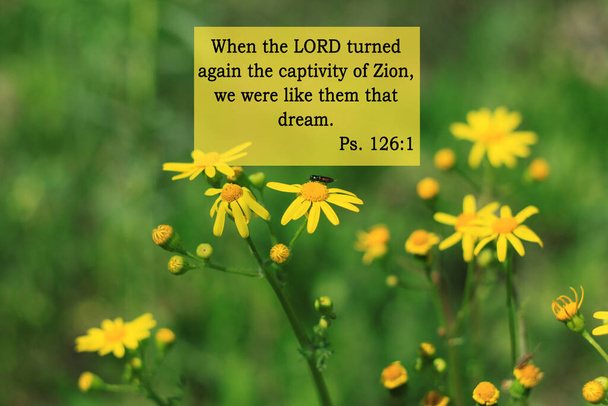 Bible quotes on yellow flowers background. Card with text sign for Lord Christ believers. Inspirational praying thought. When the LORD turned again the captivity of Zion, we were like them that dream. - Foto, Bild
