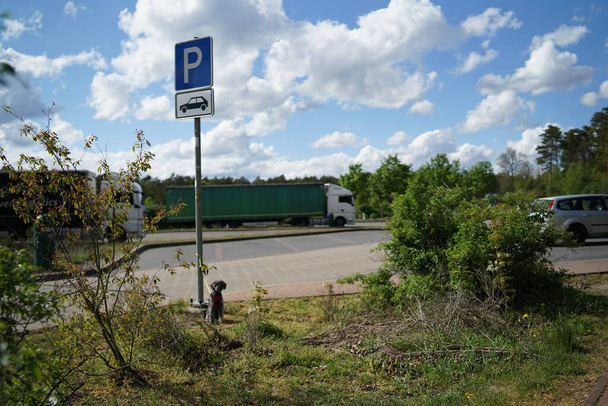 Cane da compagnia abbandonato guinzagliato sul palo del cartello del parcheggio nel punto di riposo dell'autostrada
  - Foto, immagini