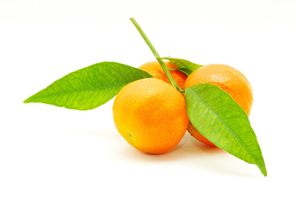 Mandarin - Фото, изображение