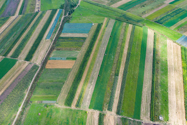 Vzdušný, bezpilotní pohled na nekonečné bujné pastviny a zemědělské plochy se zelenými poli a loukami. - Fotografie, Obrázek
