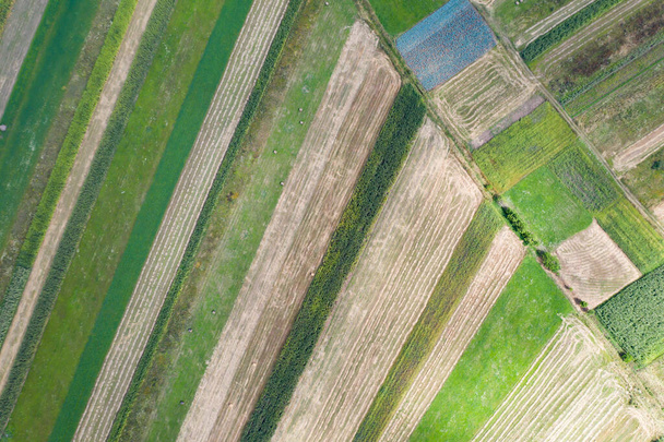 Vue aérienne, par drone, des pâturages luxuriants et des terres agricoles sans fin avec des champs verts et des prairies
. - Photo, image