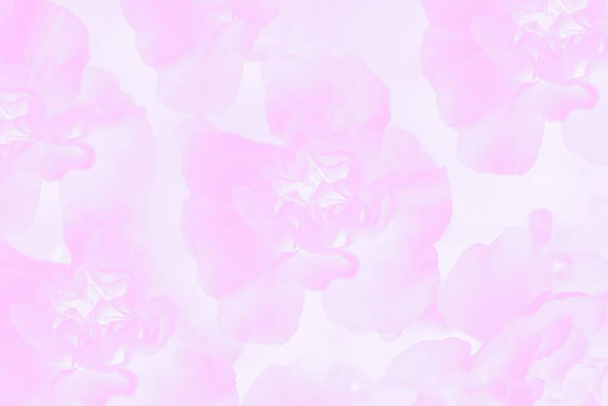 Floral carnation flowers pattern, light pink background - Photo, Image