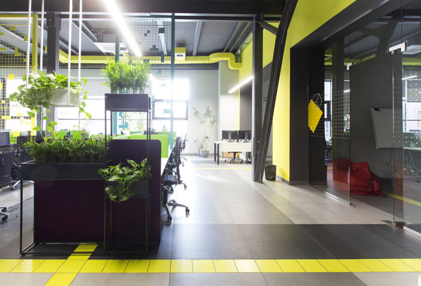 Oficina co-working en estilo loft con plantas vivas verdes
 - Foto, Imagen
