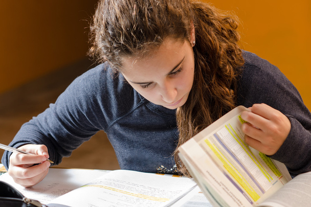 κορίτσι φοιτητής μελετά τα μαθήματά - Φωτογραφία, εικόνα