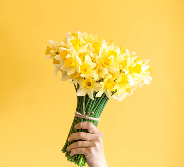 Fond jaune et mains masculines avec un bouquet de jonquilles jaunes. Le concept des salutations et de la journée des femmes
. - Photo, image