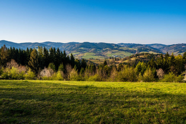 field in the mountains with flowering trees and forests around on a sunny spring day, czech - Fotoğraf, Görsel