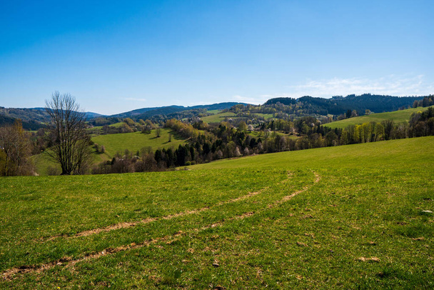 meadow in the mountains with flowering trees and forests around on a sunny day - Fotoğraf, Görsel