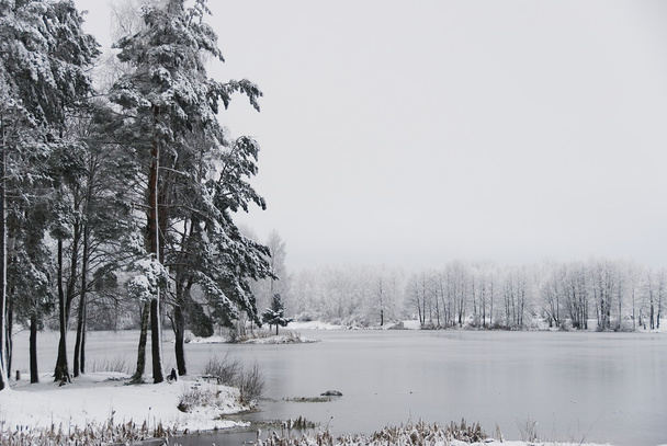 曇りの日、冬時間でロシアの湖の岸. - 写真・画像