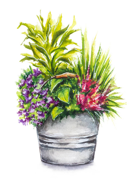 Kézzel rajzolt növények fémvödörben, fehér alapon elszigetelve. Akvarell illusztráció a virágok és a növényzet reális stílusban. Kertészeti kompozíció kerti party meghívókhoz, nyomtatványokhoz, üdvözlőlapokhoz, csomagolópapírhoz - Fotó, kép