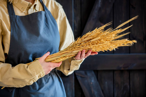 жінка в фартусі тримає колоски пшениці
 - Фото, зображення