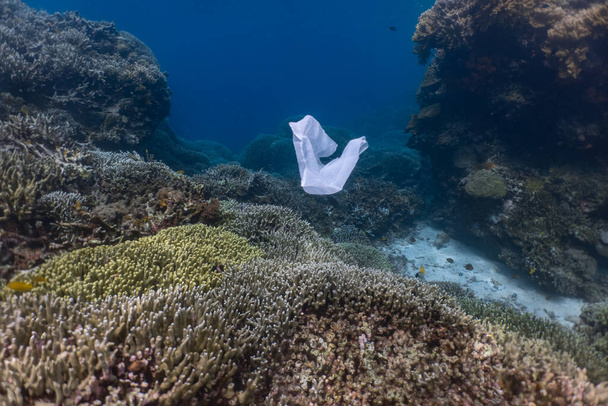 Jednorázový plast a hejno ryb v mělkém útesu. Plasty jsou hlavním zdrojem znečištění v oceánu. - Fotografie, Obrázek