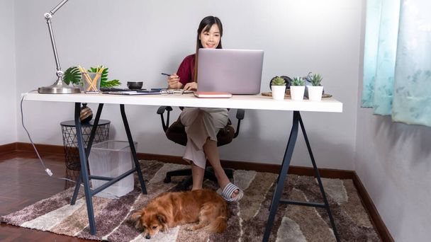 Красивая азиатская женщина работает удаленно из дома с помощью ноутбука, сидя на диване или диване в гостиной для работы в Интернете с домашним животным щенком милый собака и опекун, трудовой баланс концепт - Фото, изображение