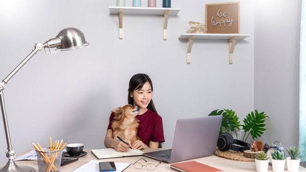 Hübsche asiatische Frau, die von zu Hause aus mit dem Laptop arbeitet, sitzt auf der Couch oder dem Sofa im Wohnzimmer, um online mit Hund und Vormund zu arbeiten, Work-Life-Balance-Konzept - Foto, Bild
