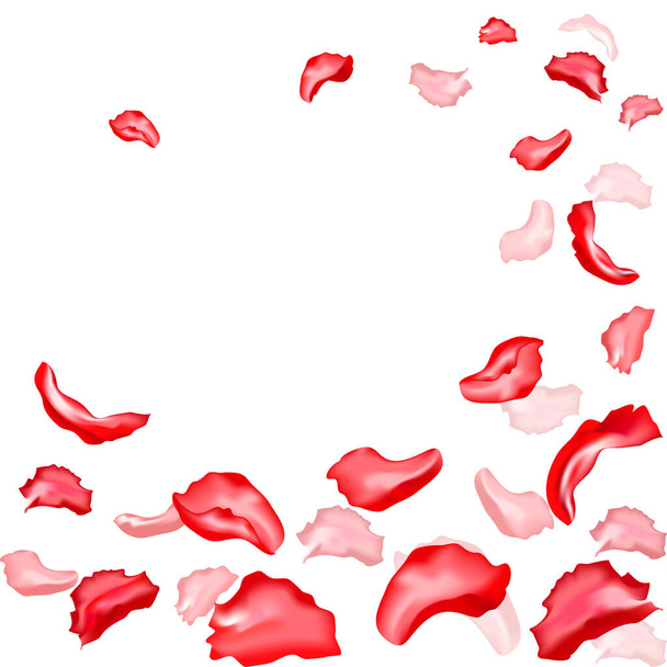 Streszczenie tła z latającymi płatkami czerwonej róży na białym tle. Ilustracja wektora  - Wektor, obraz
