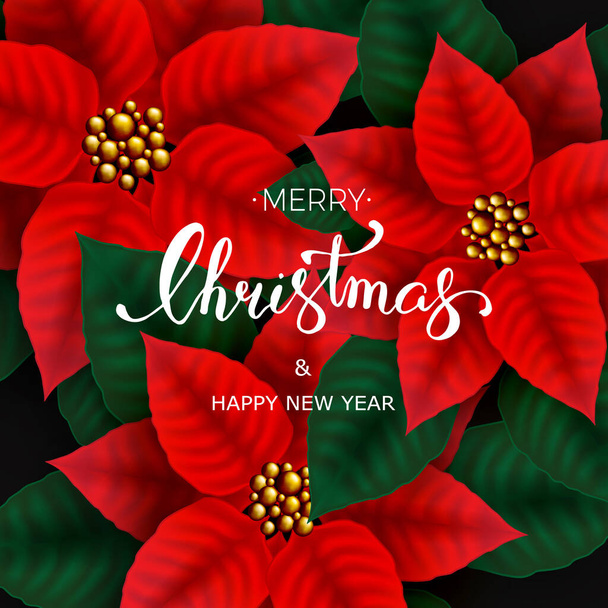 Christmas card with Poinsettia Flowers and hand lettering on black background. Vector illustration - Vector, Image