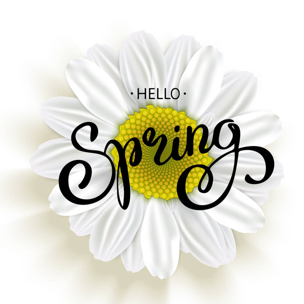 Daisy Flower and Spring Hand Lettering isolated on white. Vector illustration  - Vector, Image