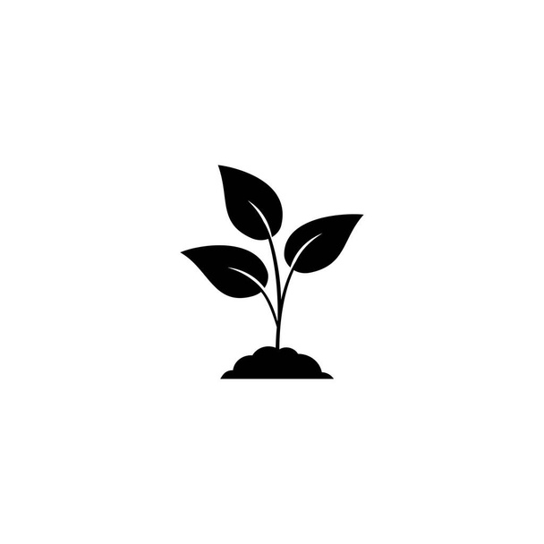 Leaf nature icon  on white. Vector  - Vector, Image