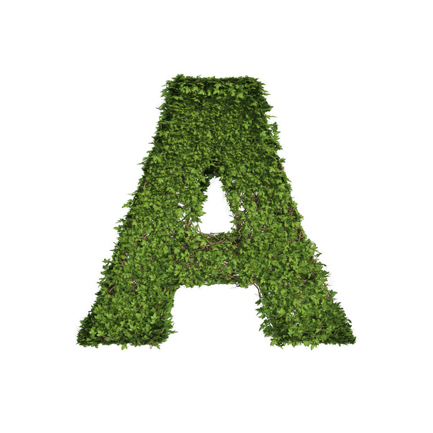 Ivy plant with leaves, green creeper bush and vines forming letter A, English alphabet text font character isolated on white in nature, growth and eco environment concept. 3d tree illustration. - Zdjęcie, obraz