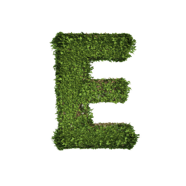 Ivy plant with leaves, green creeper bush and vines forming letter E, English alphabet text font character isolated on white in nature, growth and eco environment concept. 3d tree illustration. - Фото, зображення