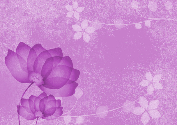 violetti kukat tausta - Valokuva, kuva
