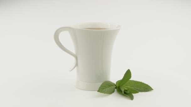 Una taza de té y una ramita verde de menta. Fondo blanco
. - Imágenes, Vídeo