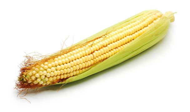 Espiga de milho
 - Foto, Imagem