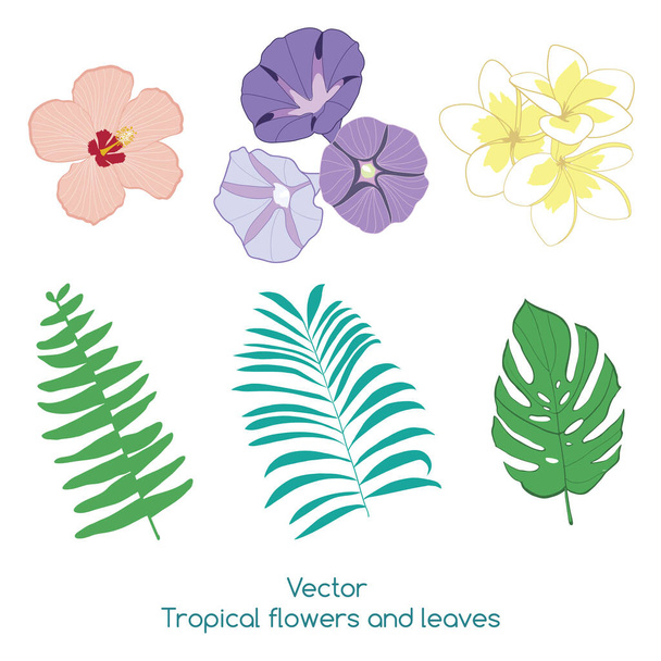 Set of vector tropical flowers and leaves - Vetor, Imagem