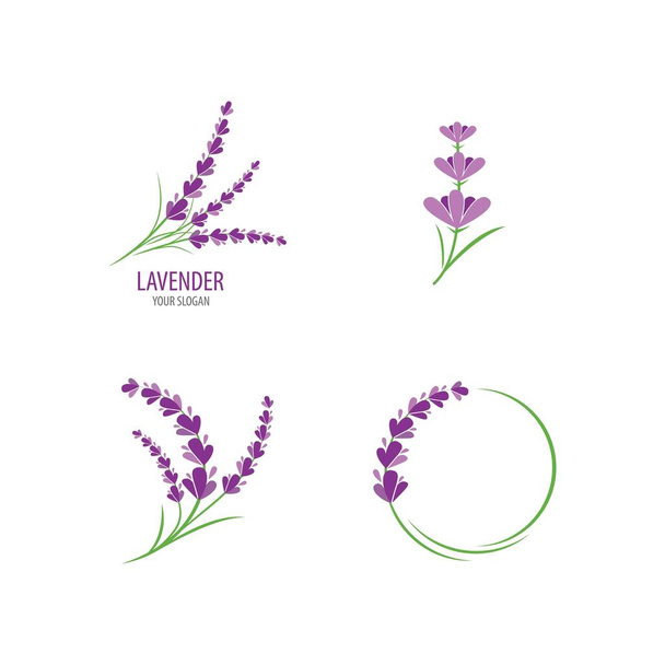 Fresco flor de lavanda logo vector diseño plano - Vector, imagen