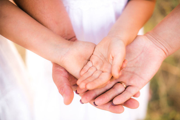 Close-up hands of the whole family, parents and children outdoors in summer. The concept of family unity. Happy childhood. Happy and healthy family - Foto, Bild