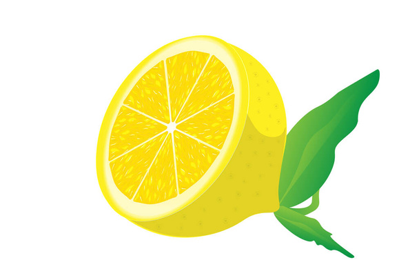 Лимонный ломтик изолирован на белом фоне - Вектор,изображение