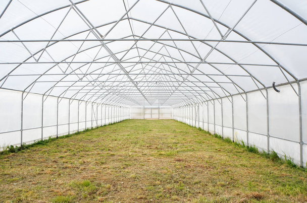 mezőgazdasági koncepció, belső ipari üvegház, üvegház-gazdálkodás - Fotó, kép