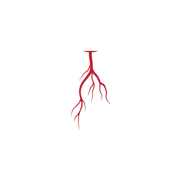 venas humanas, diseño de vasos sanguíneos rojos y arterias ilustración vectorial aislada
 - Vector, Imagen