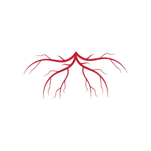 ανθρώπινη φλέβες, κόκκινα αιμοφόρα αγγεία σχεδιασμό και αρτηρίες Διανυσματική απεικόνιση απομονωμένη - Διάνυσμα, εικόνα