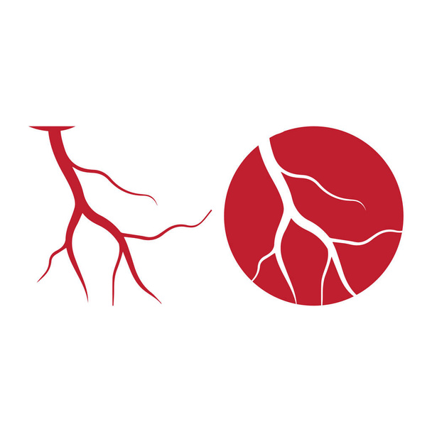 venas humanas, diseño de vasos sanguíneos rojos y arterias ilustración vectorial aislada
 - Vector, imagen