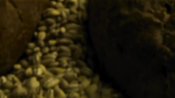 Close-up of green unroasted coffee beans. Stock footage. Fresh green coffee beans at conveyor plant. Preparation of green coffee beans before roasting - Footage, Video