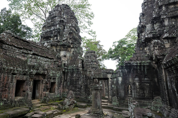 Руїни храму в Ангкор - Ват (Сіємреап, Камбоджа).. - Фото, зображення
