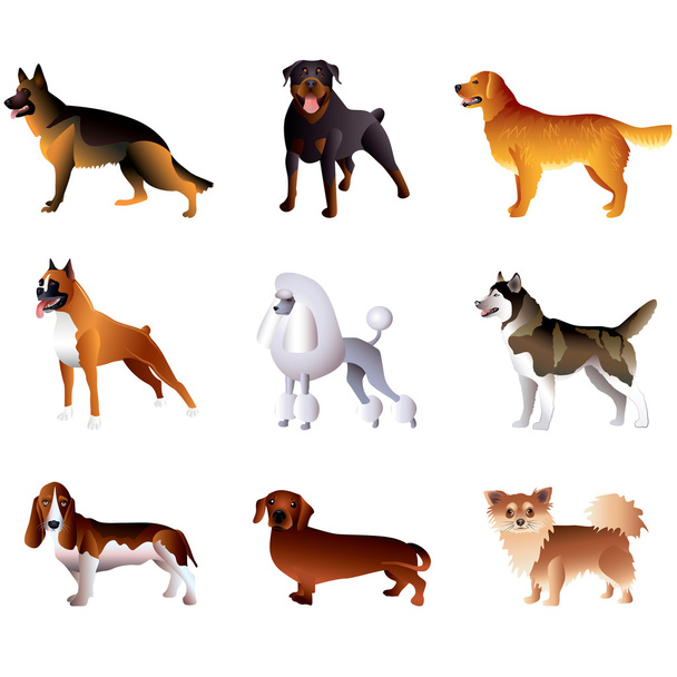 Собаки, изолированные на белом векторном множестве
 - Вектор,изображение