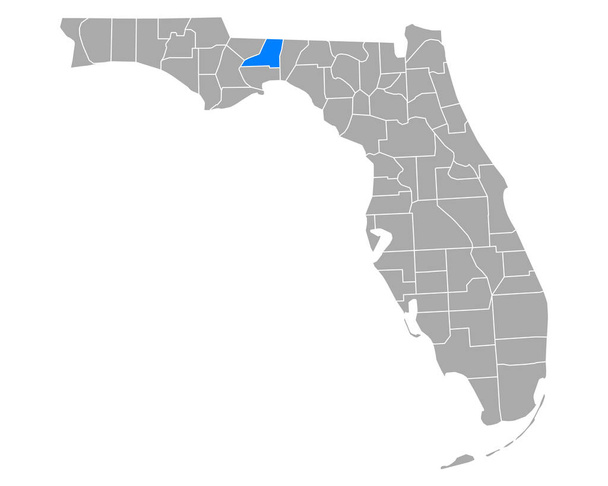 Florida 'daki Leon Haritası - Vektör, Görsel