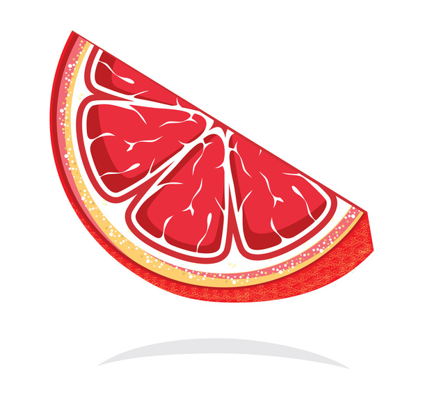 Grapefruitscheibe isoliert auf weiß - Vektor, Bild