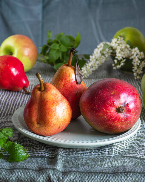 Yeşil bir masa örtüsünde meyve seti, elmalar, armutlar ve yeşil bir tabakta nane filizi olan mango. - Fotoğraf, Görsel