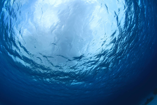 Подводная структура в Карибском море
  - Фото, изображение