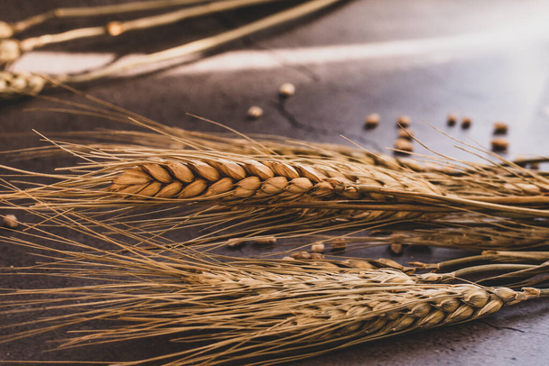 wheat spikelets on the table - Foto, imagen
