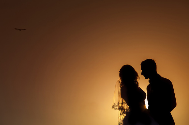 若い花嫁、新郎と夕日を背景にシルエット - 写真・画像