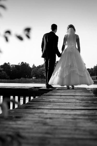 Happy bride and groom on their wedding day an lake - Foto, Imagen