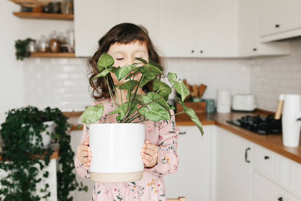 Adorable 5 year child girl is planting a houseplant in pot at home. Girl hold white pot with syngonium plant. Urban jungle concept - Foto, Imagen