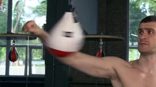 Boxer Fighter Hits Fast With Fists Speed Bags. Caucasian Man Working out Punches at Urban Gym. Close-up - Záběry, video