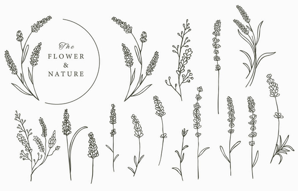 Black lavender logo collection with leaves,geometric.Vector illustration for icon,logo,sticker,printable and tattoo - Vetor, Imagem