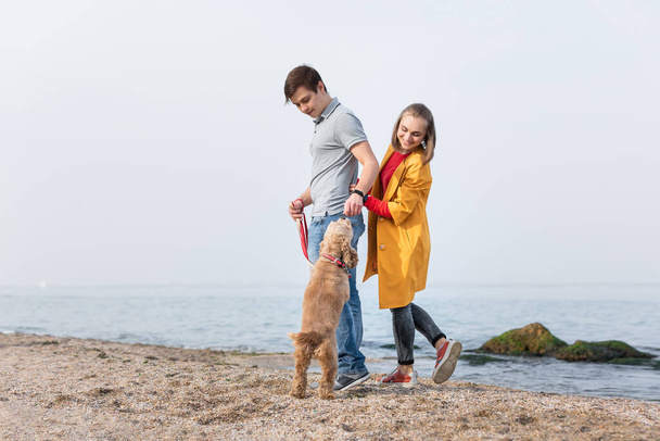 若い夫婦は海岸に犬と一緒に歩いている。犬が屋外を歩く。幸せな家族 - 写真・画像