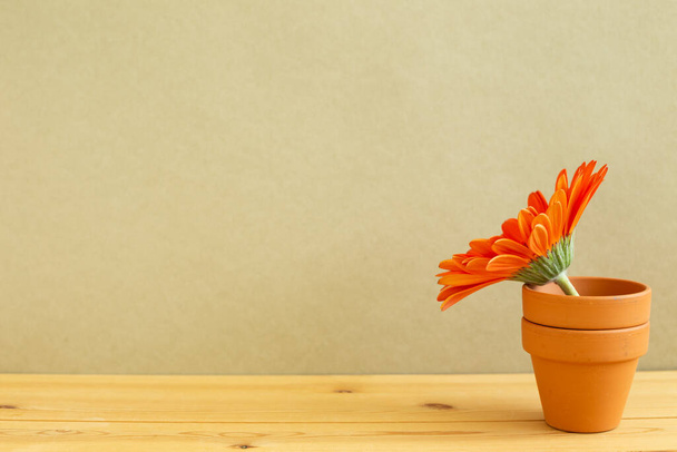 Orange gerbera flower on wooden table with khaki background. Floral arrangement, copy space - Photo, Image