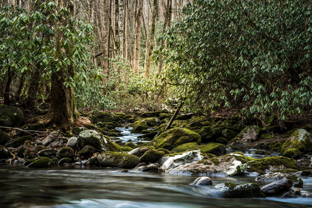Creek Joins The Little River in the Smokies - Foto, afbeelding